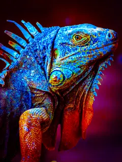 Alebrije · Fotografía 03